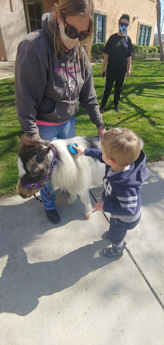 Service Animals San Diego